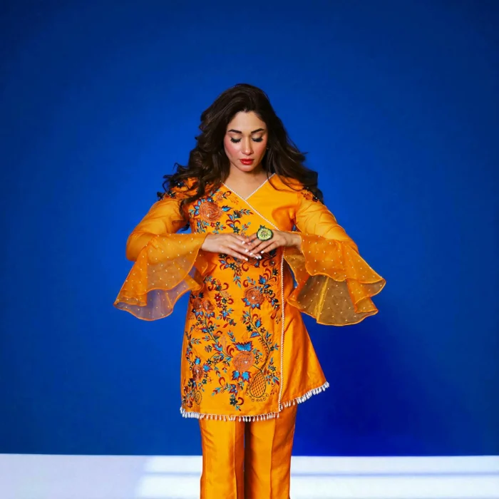 Mehr-e-Narmin